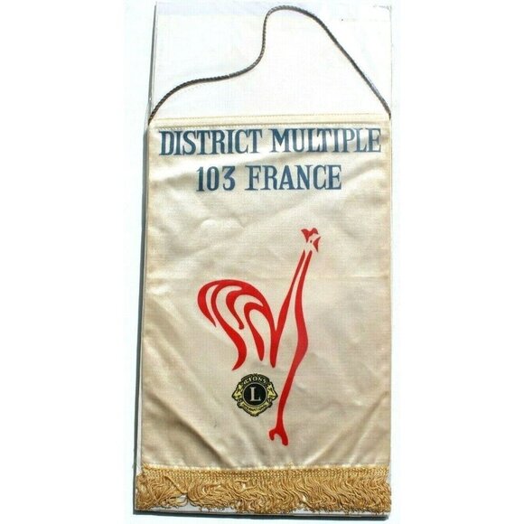 Flag Other - Vtg Silk Lions Club International District Multiple 103 France Pendant Flag